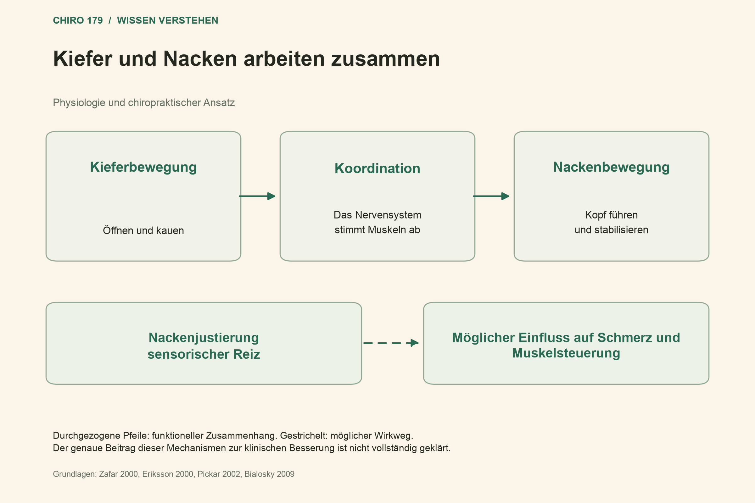 Kiefer und Nacken arbeiten zusammen; Möglicher Einfluss auf Schmerz und Muskelsteuerung