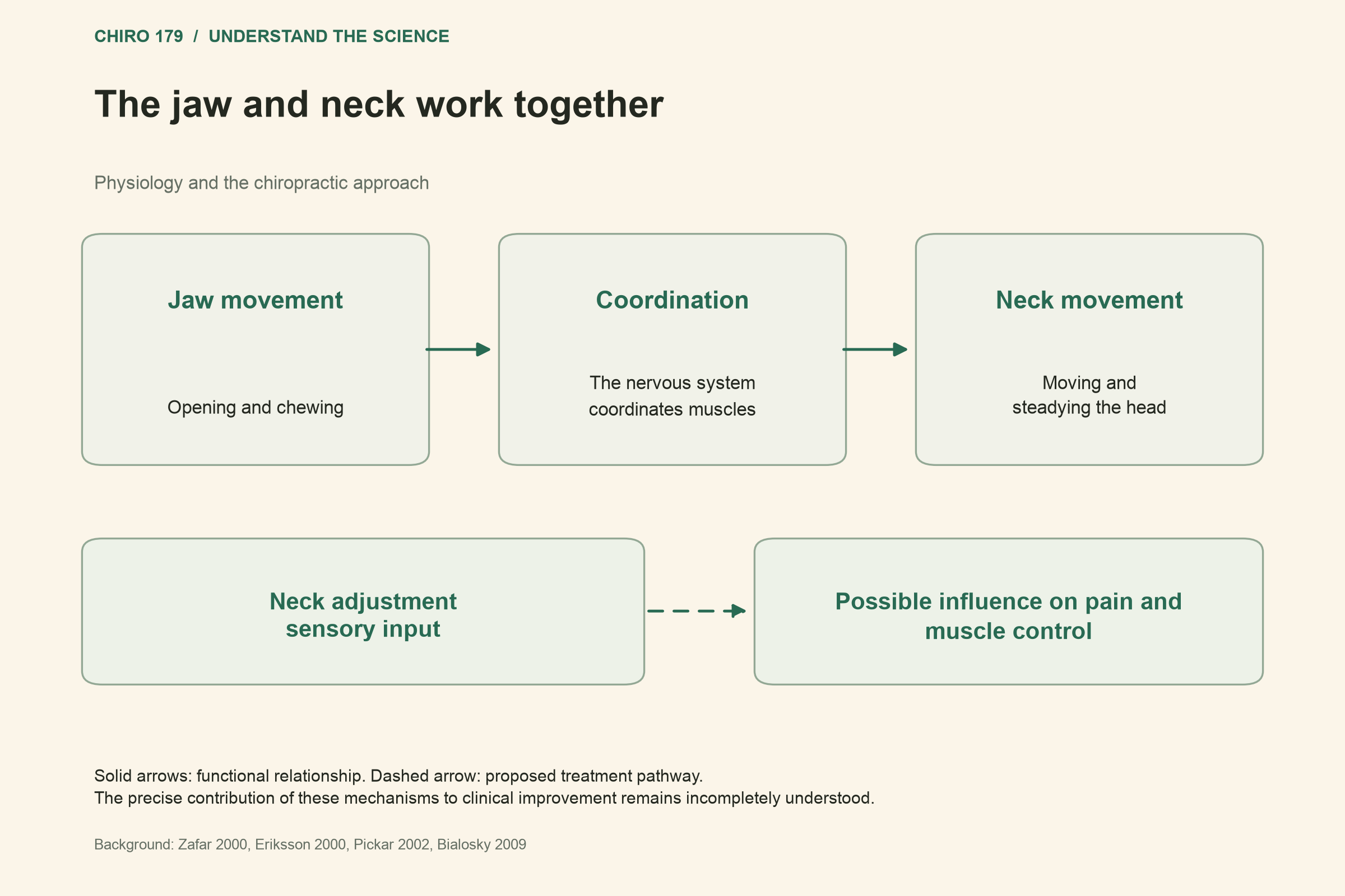 The jaw and neck work together; Possible influence on pain and muscle control