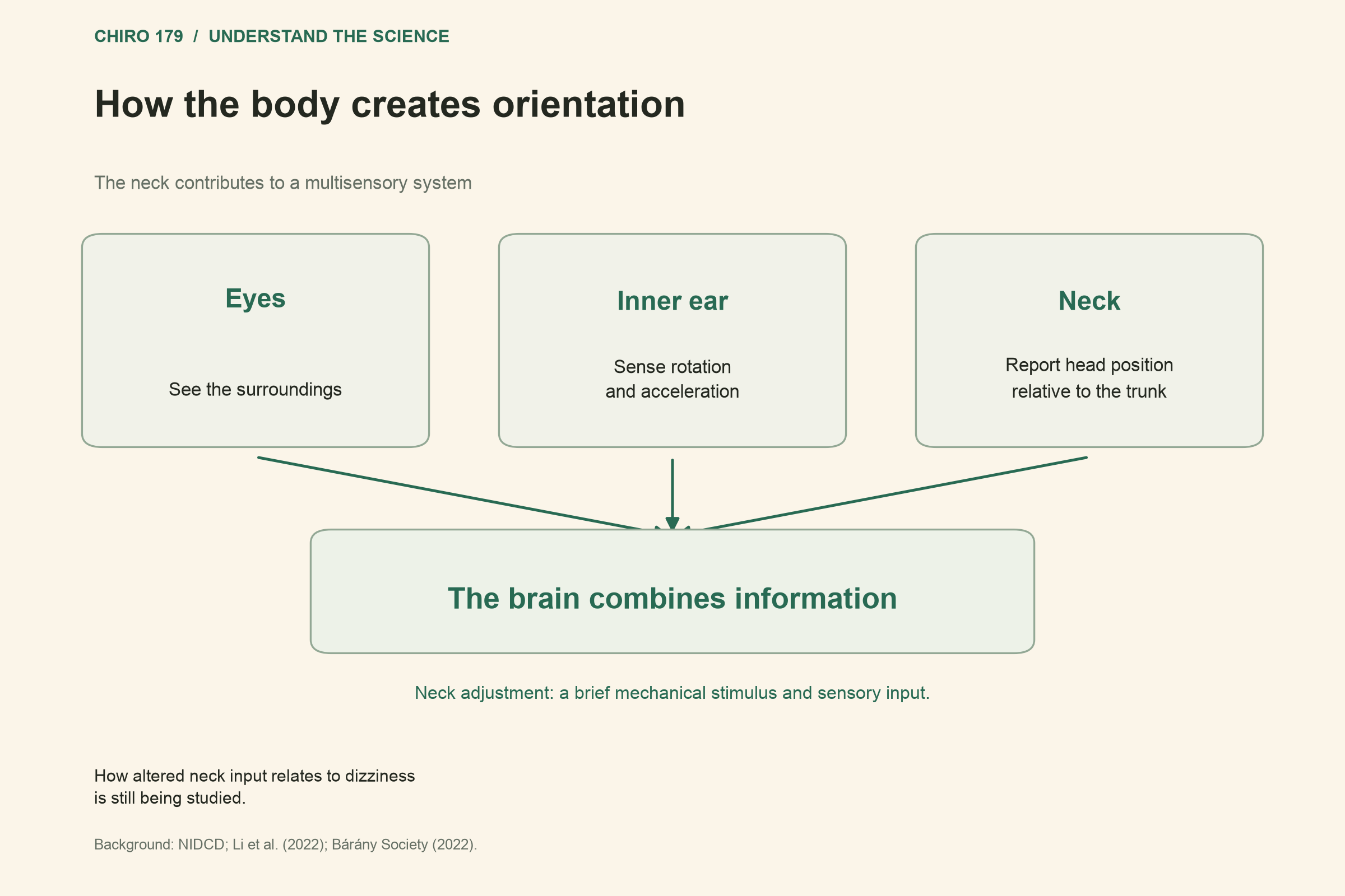 Eyes, inner ear and neck provide information that is combined by the brain.