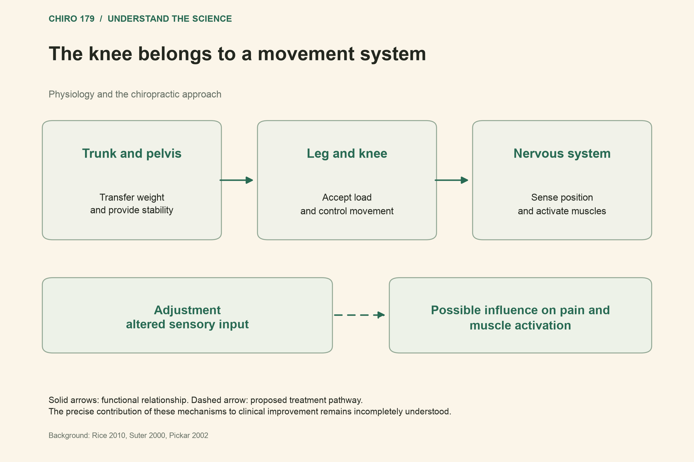 The knee belongs to a movement system; Possible influence on pain and muscle activation