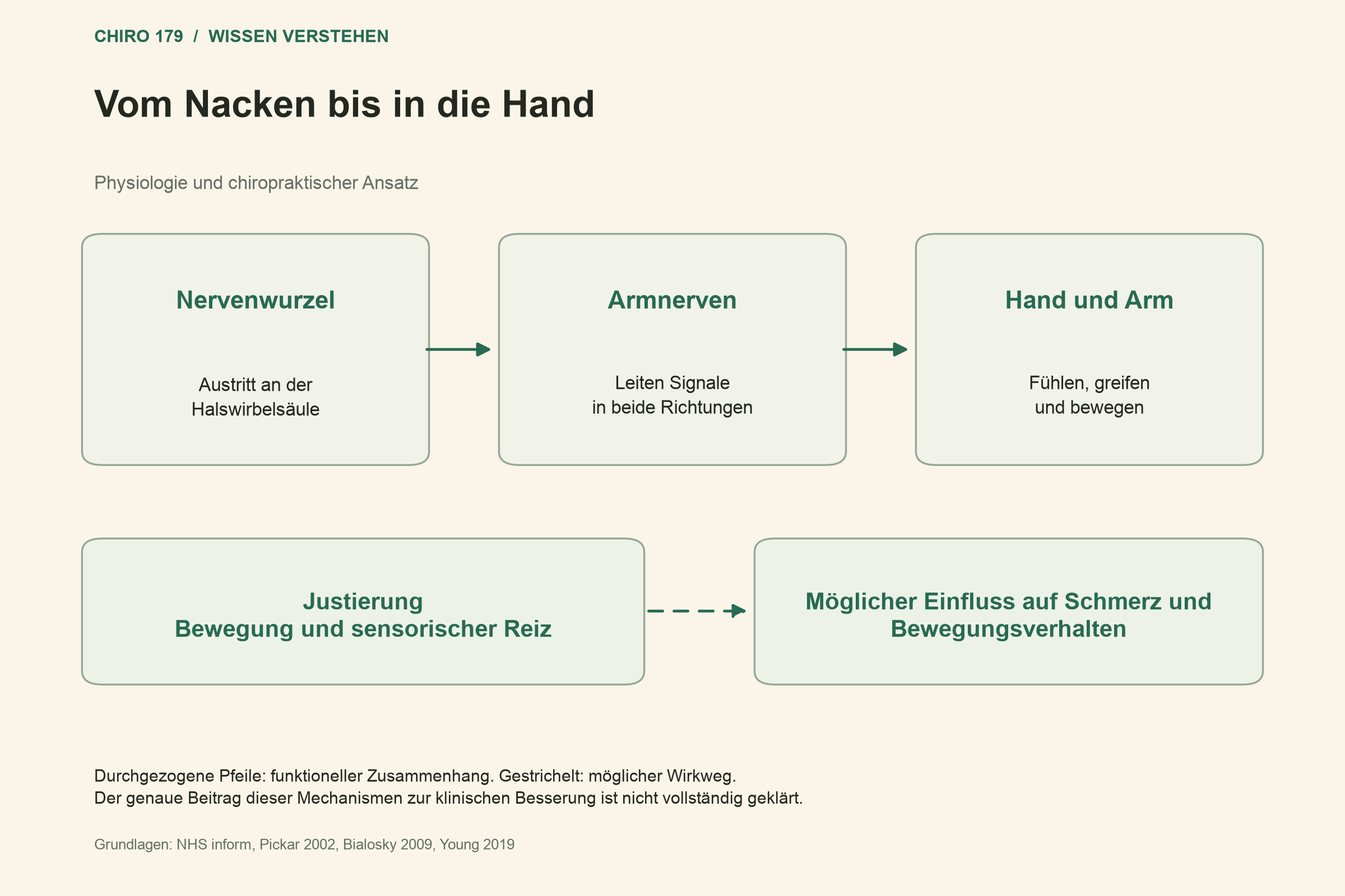 Vom Nacken bis in die Hand; Möglicher Einfluss auf Schmerz und Bewegungsverhalten