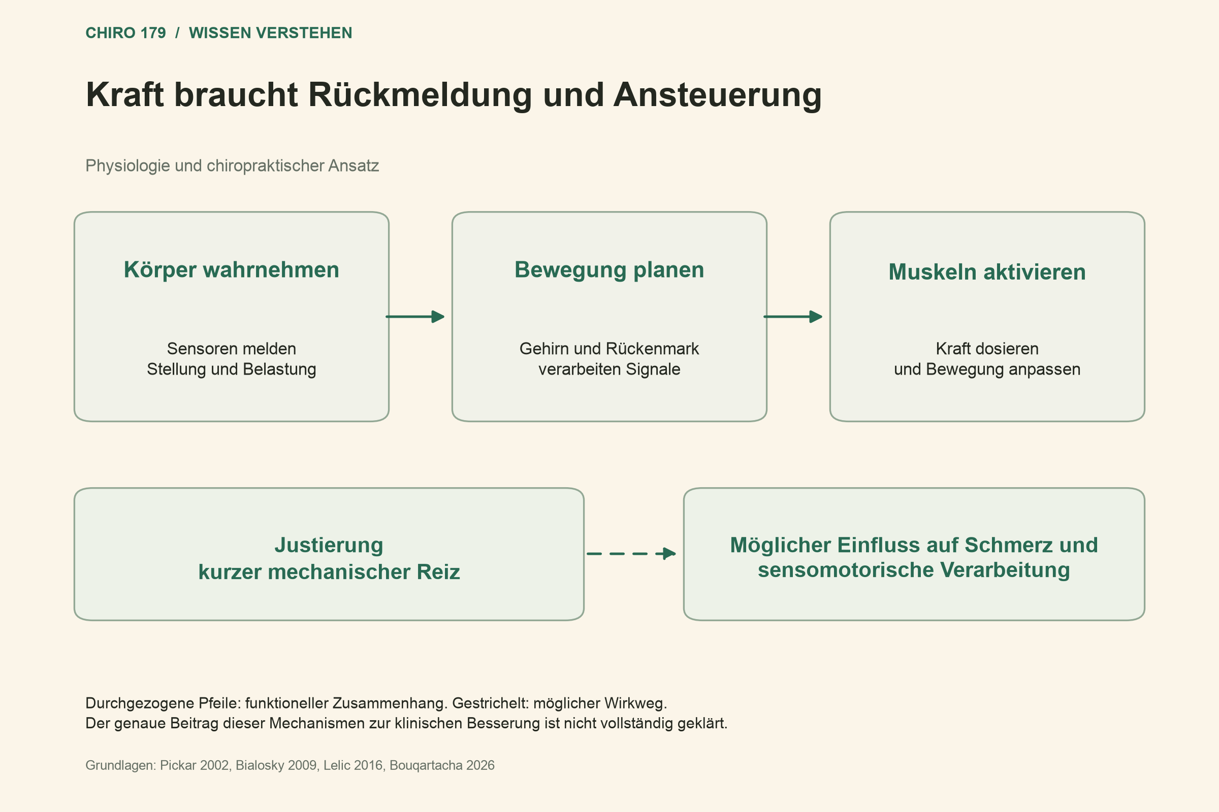 Kraft braucht Rückmeldung und Ansteuerung; Möglicher Einfluss auf Schmerz und sensomotorische Verarbeitung
