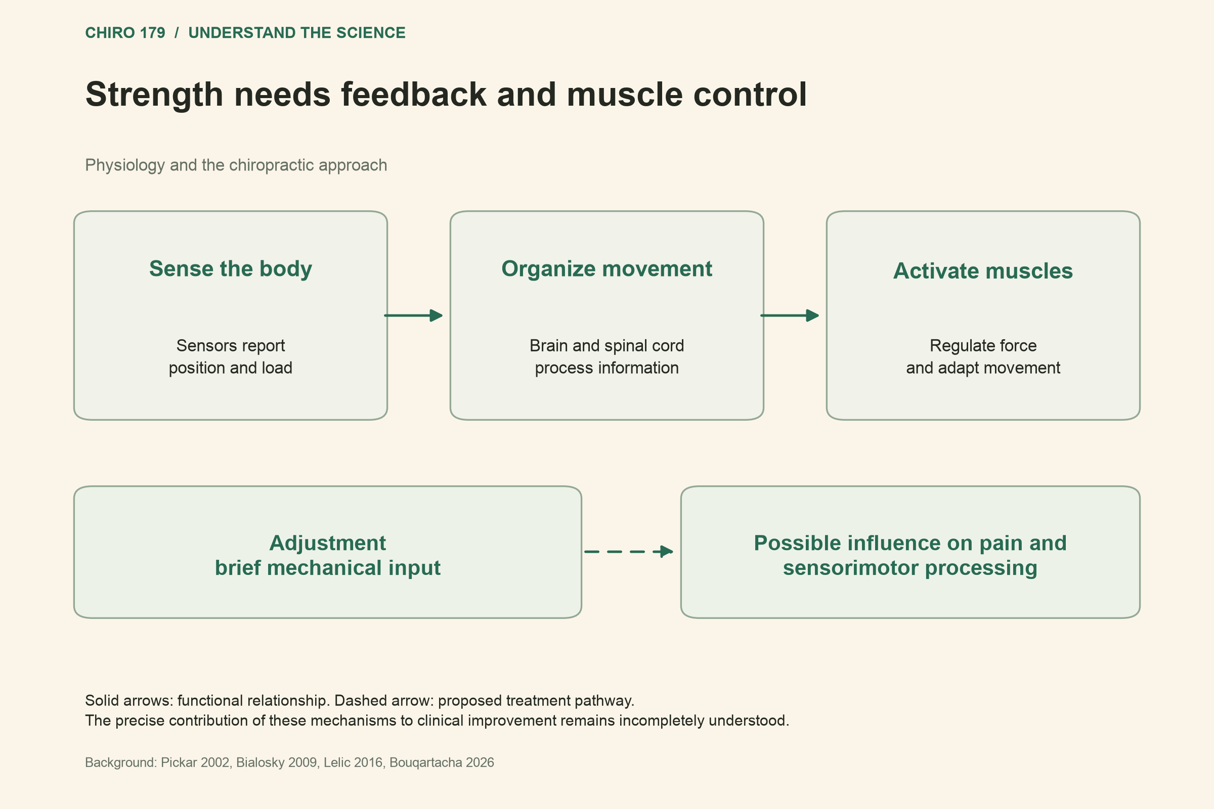 Strength needs feedback and muscle control; Possible influence on pain and sensorimotor processing